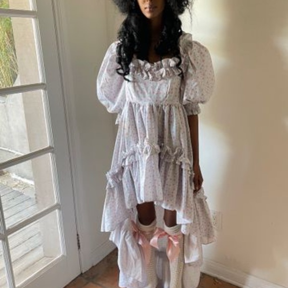 Selkie Dresses & Skirts - New SELKIE Marie Antoinette Chateau Rose Jardin Cotton Dress XXL